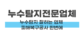 대구 달성군 누수탐지·피해복구 전문